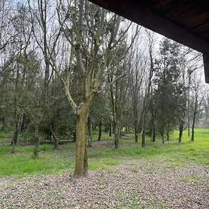 Appartamento Woods, Verona